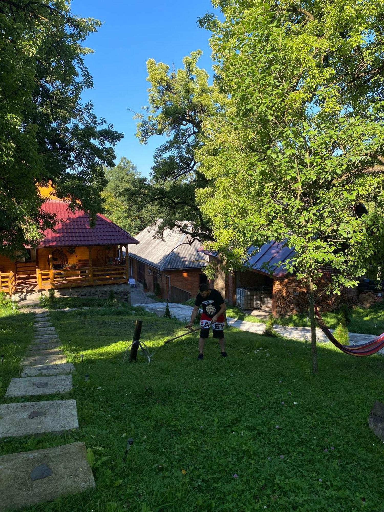 Casa Leca Hotel Breb Bagian luar foto