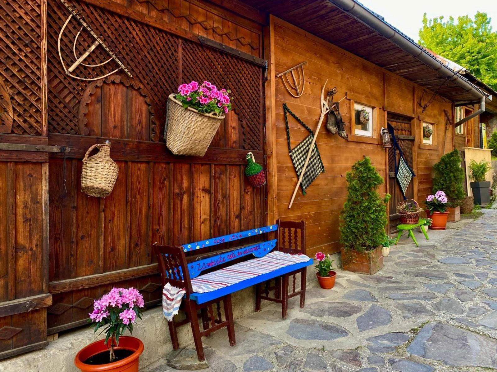 Casa Leca Hotel Breb Bagian luar foto